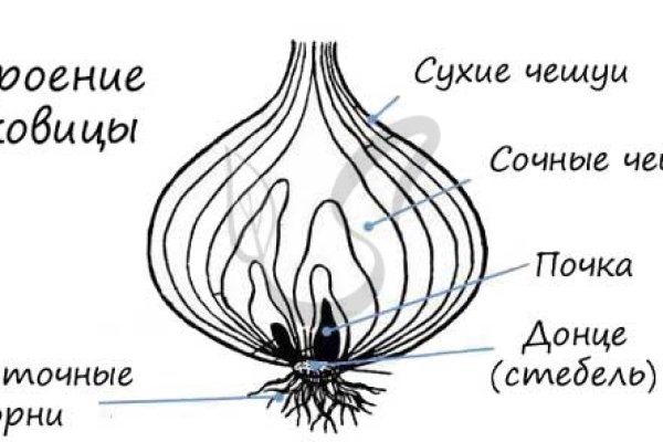 Кракен даркнет зайти