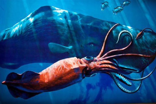 Kraken официальное зеркало kraken dark link